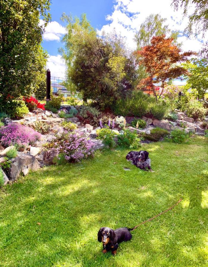Tailor Made Tekapo Accommodation - Hostel เลคเทคาโป ภายนอก รูปภาพ