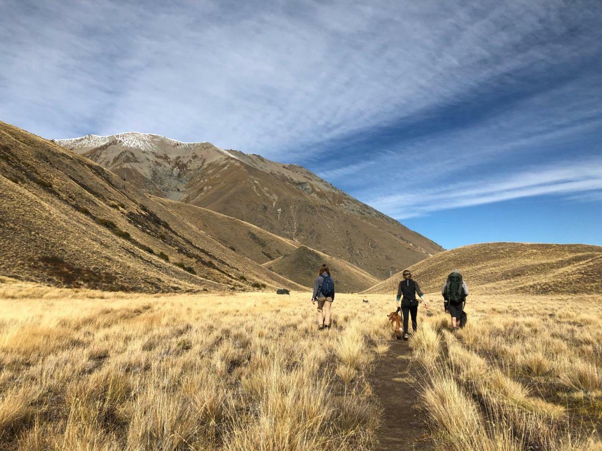Tailor Made Tekapo Accommodation - Hostel เลคเทคาโป ภายนอก รูปภาพ
