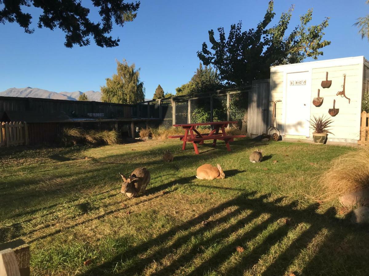 Tailor Made Tekapo Accommodation - Hostel เลคเทคาโป ภายนอก รูปภาพ