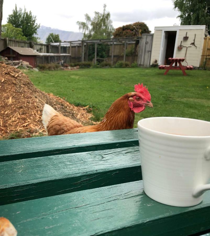Tailor Made Tekapo Accommodation - Hostel เลคเทคาโป ภายนอก รูปภาพ
